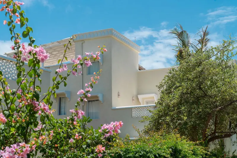 Bougainvillea over the white walls of a villa