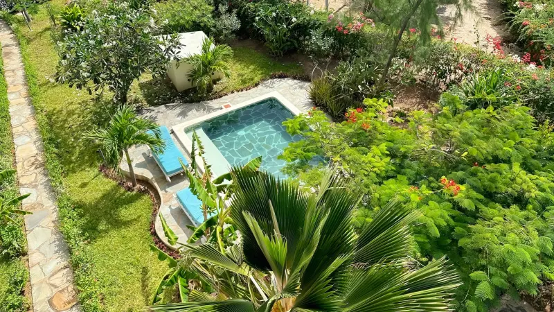 The pool and garden seen from the terrace above